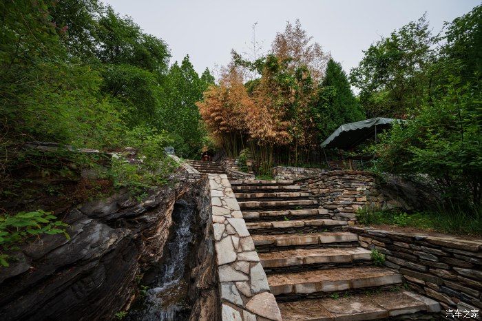 粉红|【郊野行摄】春风拂面，黄栌花开---雨中游京西幽岚山