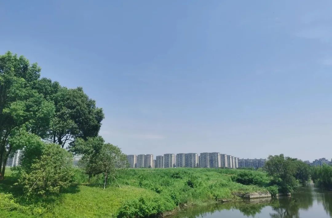 购房者|久违的“现房”回来了！实探第二批集中供地