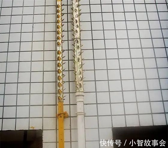 阳台|阳台不要装防盗网了,头次见有钱人用这种代替,实在太聪明了