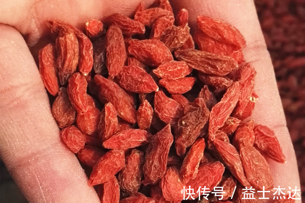 食用|枸杞怎么吃,才能发挥最大功效,干嚼还是泡水或许你一直吃错了