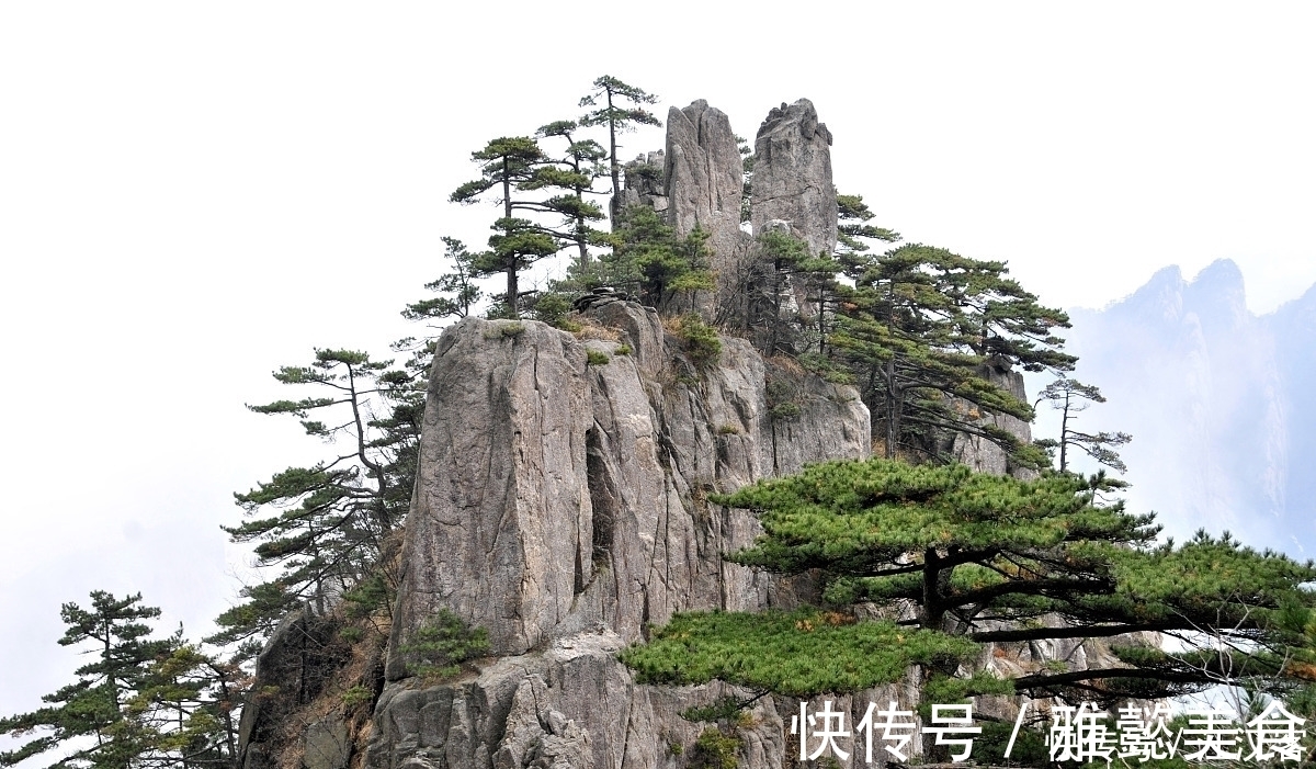 诗作|十首隐士古诗词:香风不动松花老,白云遍地无人扫