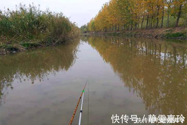 冬钓大鲫鱼，钓深还是钓浅天冷要找这种地方，鲫鱼在这里扎堆