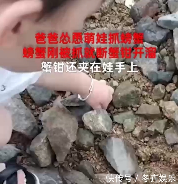 福建|福建一爸爸怂恿萌娃抓螃蟹，下一幕笑翻网友：父爱如山体滑坡