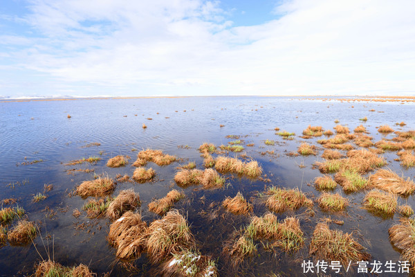 若尔盖花湖不飞花，却是中国最美的高寒湿地