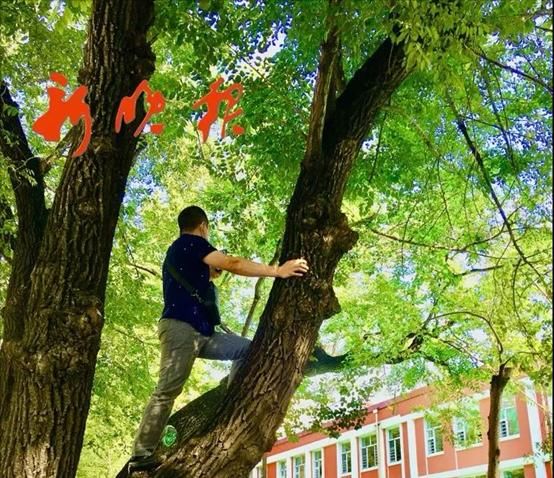 图片来源|幼儿园开学第一天，神兽回笼：老师被逼疯，家长却乐疯了！