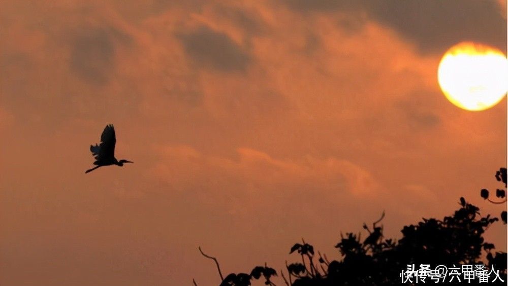 苏轼@张孝祥四首《菩萨蛮》回文词,不输苏轼,不知您是否读过?