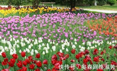 贾宝玉$红楼梦中，有一人将贾宝玉和袭人的秘密泄露给黛玉，最后不得善终