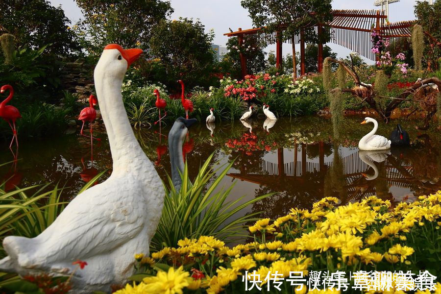 属相兔属兔|“傻人有傻福”的三个生肖女,乐于助人不计得失,晚年健康长寿