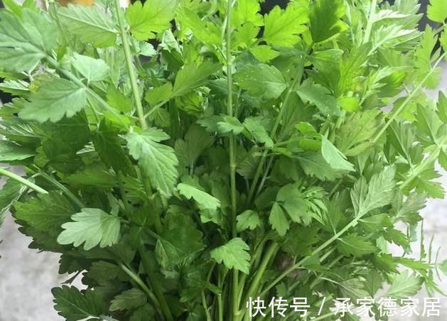 老家|被打绝迹的野菜，在农村老家剩下的一点，看看你还认识吗？