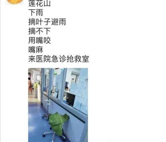 家门口的有毒花,千万别乱碰,有小孩的注意!