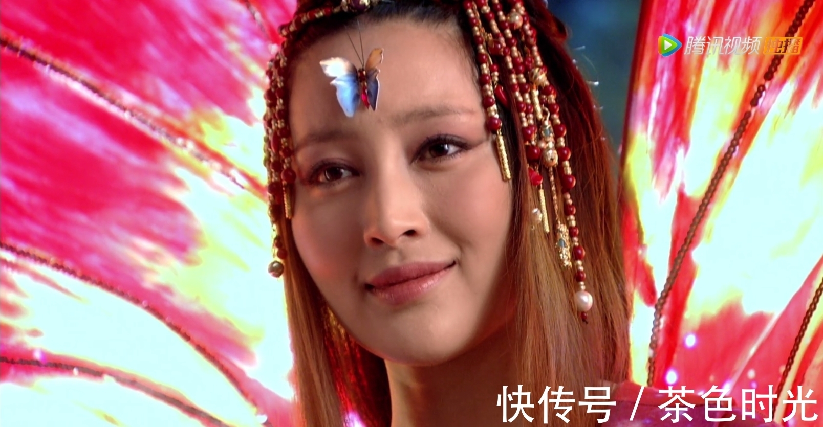 白秋菊|盘点来自五湖四海的美人鱼:无尽海莲姬,洞庭湖晓莲,碧波潭红绫