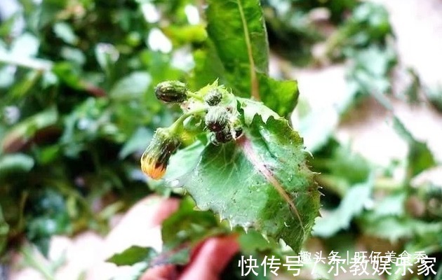 鱼香肉丝|这8道菜简单美味又营养,超下饭,吃不够,适合春天