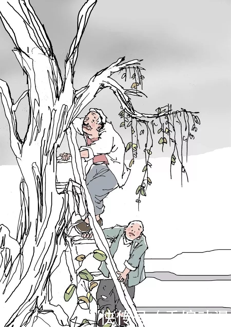 新连环画:刘老汉的烦恼之《收蜂》