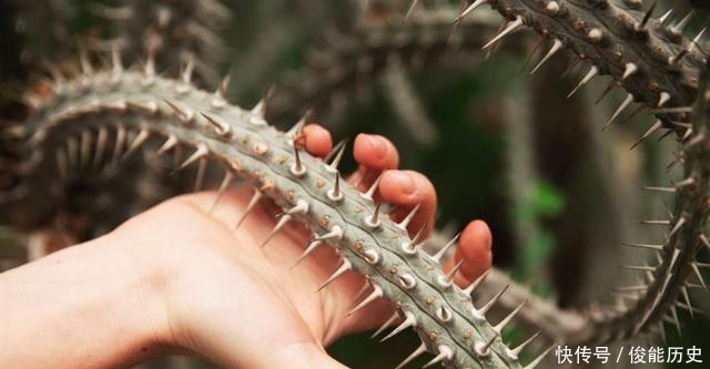 监狱|古代最早的监狱,不用人值守,囚犯也无法逃跑!