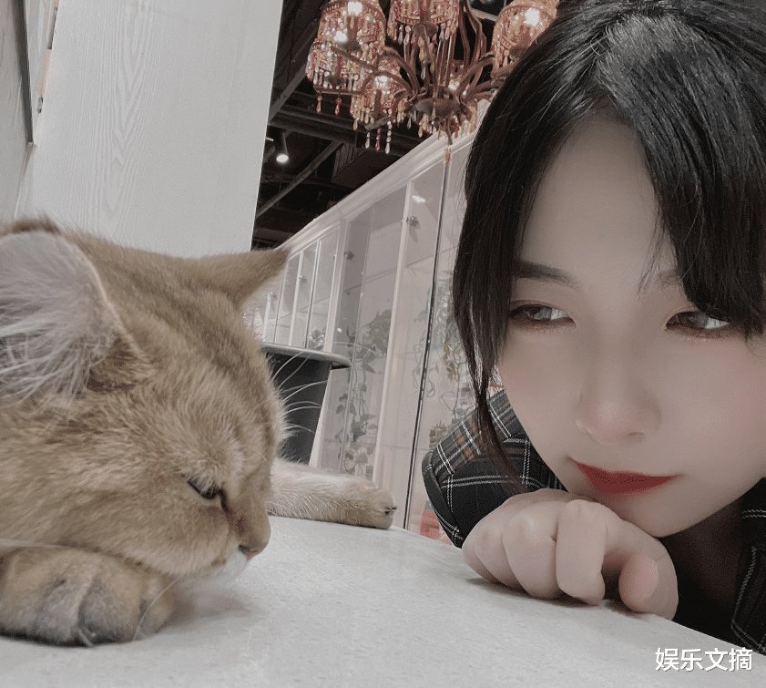 赵粤跟陈卓璇用咏春比武，过程却满是柔情，观众都看出她在放水了