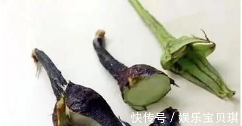 细末|一颗小茄子，养生大功效！茄子的13个顶级妙用，13种疾病皆可治！