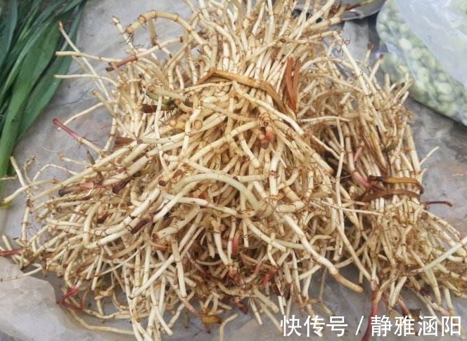 痢疾|医生提醒常吃以下3种野菜，能补血，养心平肝，治痢疾，早点知