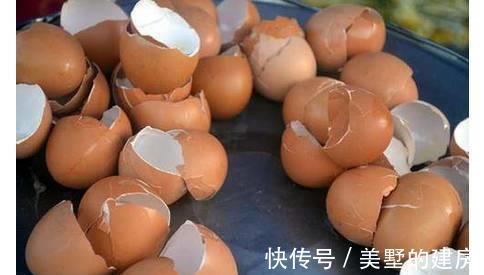 花儿|养花,这些肥能让土壤变的松软透气,更有利于花卉发育生长