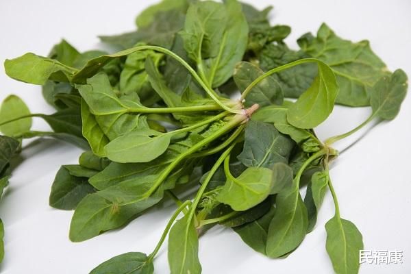 营养|哪些营养对老年人养生很重要？又该如何去补充？