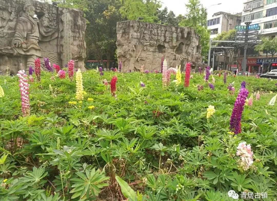 北湖|北湖公园石刻:青居园文化说明