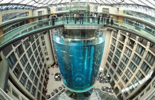 世界|为了吸引顾客，这家酒店在大厅建了全球最大鱼缸，斥资高达1亿