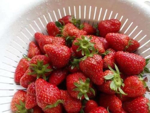 只要是比较小的块就可以了,没有一种能比它更好