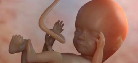 精子|胎儿的性别,事实是在孕期的这个时间段形成的,宝妈们来看看