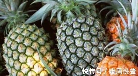 食物|想养生得会吃,3种食物换着吃,润肠通便,高效减肥,好处多多