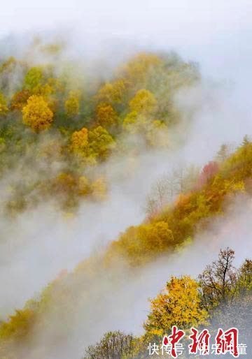 美景|张张壁纸！快来下载属于你的秋雪六盘山美景