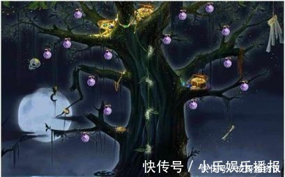 秘密|海贼王恶魔果实的秘密你记得多少你想知道的都在这里