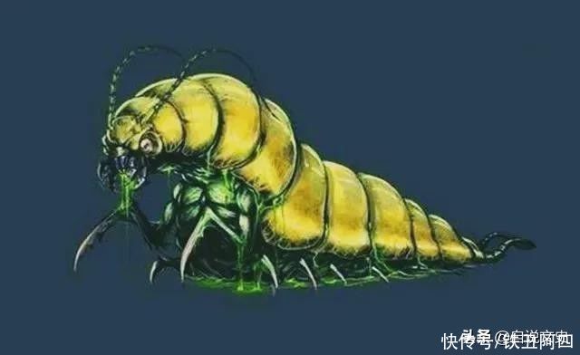 女婿|害死女婿,老头遭天谴,细说清代“金蚕蛊毒案”