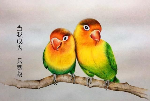 主角&推荐3本高分小说,一本无限流,一本温馨日常,一本无敌爽文