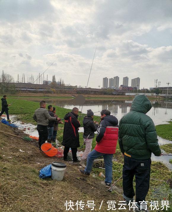 6斤!鸭子塘里的罗非鱼体型惊人,因常年吃鸭粪?