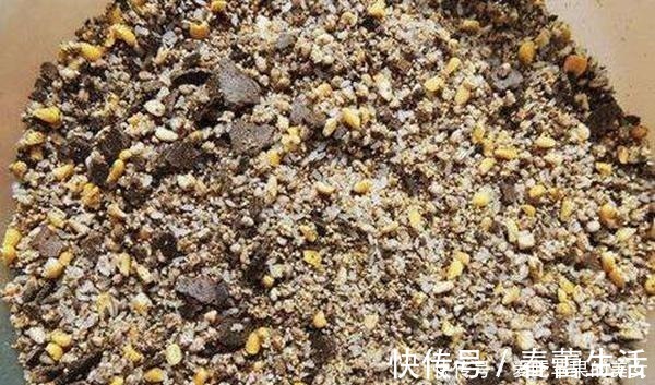 冬季天寒地冻,钓鲫鱼发窝更慢,打窝用这些招数,聚鱼效果翻倍