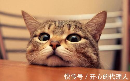 |幽默笑话:大闸蟹死前被人放在清水里饿上几天,排出废物