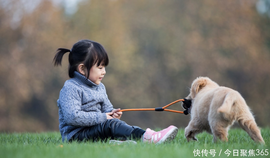 动物|独生子女家庭，要不要养个动物陪伴孩子养小动物也有风险