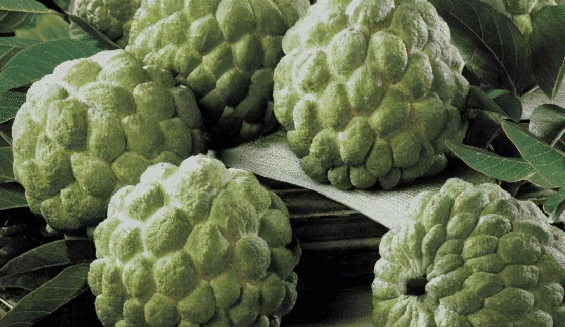 降压|人到中年想长寿，坚持吃三种食物，排毒清肠，降压减脂，好处多多