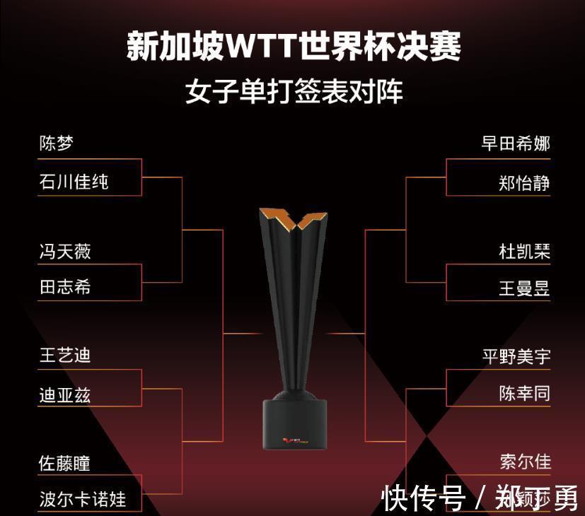 张本智和|WTT世界杯｜陈梦抽得上上签，孙颖莎、王曼昱内战无法避免