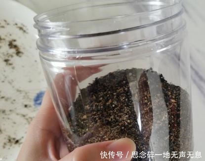 冬天,最该吃的不是花生,而是它,每天吃1小勺