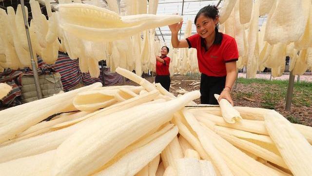 荞麦|天然“散结水”被找到了,没事常喝点,活血散结,结节或慢慢变小