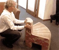 |搞笑GIF：太不像话了 我等了这么久你居然给我看这个