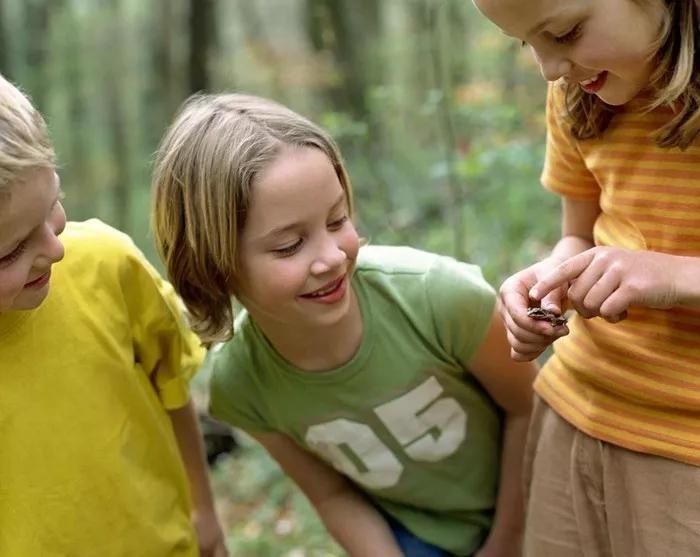 高智商|家长别闹,早教班不能教出高智商的孩子