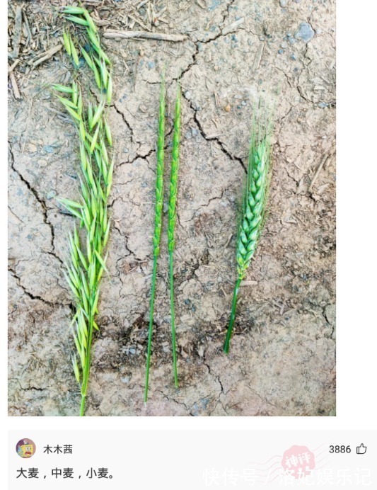 |搞笑:花一百多万买的毛坯房,阳台上有三个小洞是干嘛的?还得我自己补上