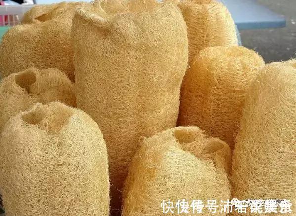 腰肥|君子兰肥到流油，长寿花开不断，原来他用了1个小方法！