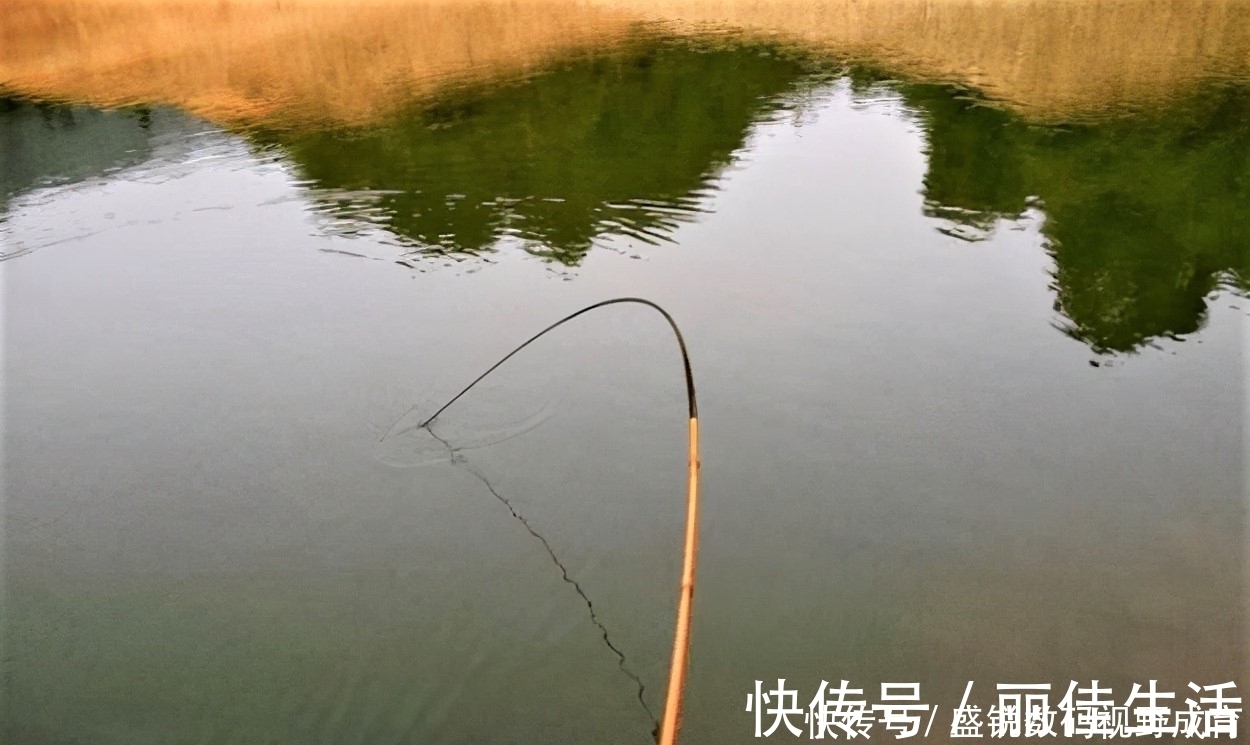 线组|钓到大鱼不切子线，却切主线是何道理？子线缠绕打结怎样解决