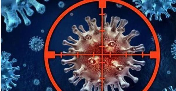 免疫系统|医生透露癌细胞特怕的几种食物，经常吃一点，癌症远离你