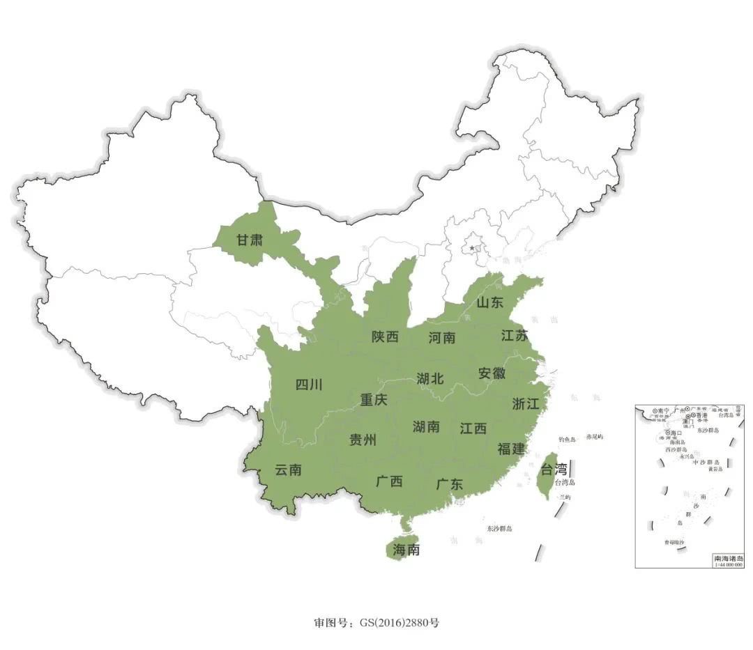 白茶|中国各省产茶名录