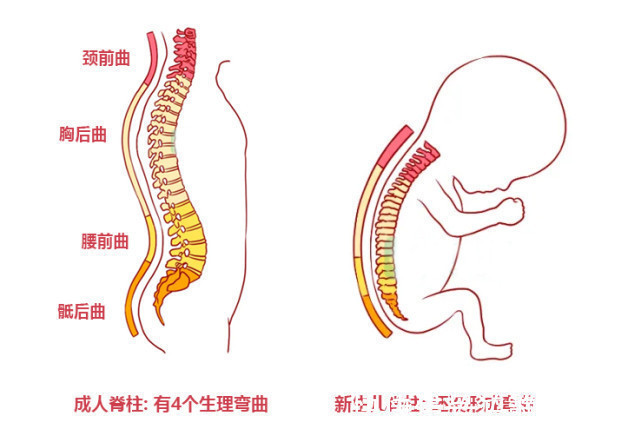 新手爸妈|新生儿出生后,不能对宝宝做的9件事,新手爸妈早了解别坑娃