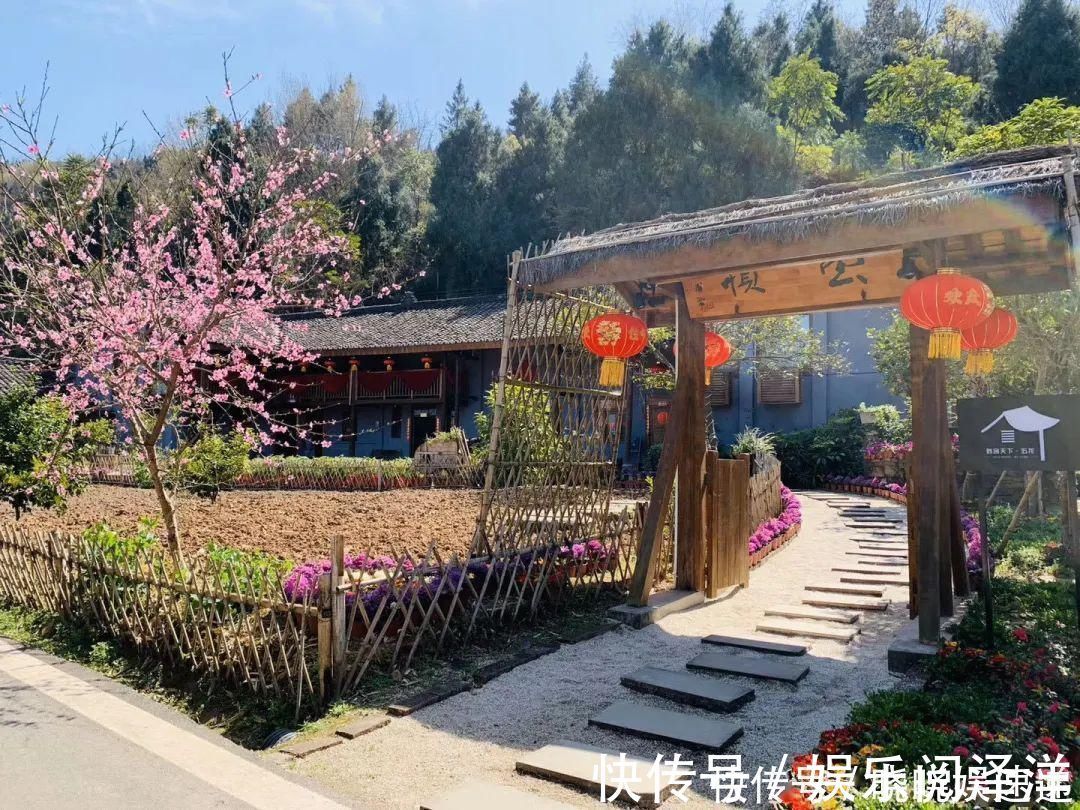 在乡下改造一个小院，种菜养花天天都是乡村田园梦，生活如此惬意