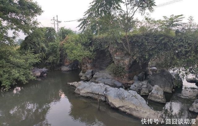 玉真|李白太帅了,先后娶了两个宰相的孙女,玉真公主心甘情愿为他铺路